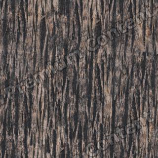 seamless tree bark 0004